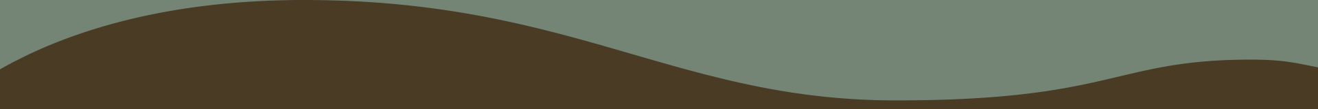 About Us Bottom Shape